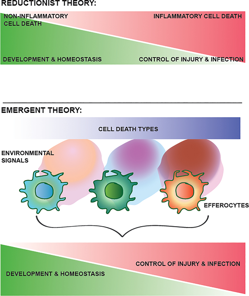 Figure 1 |