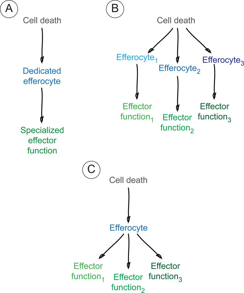 Figure 2 |