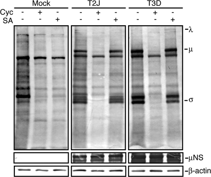 Fig. 8.