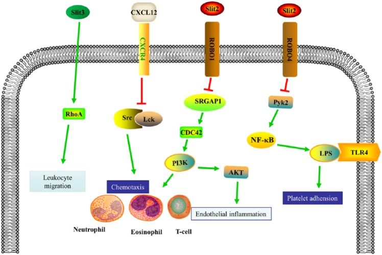 Figure 5.