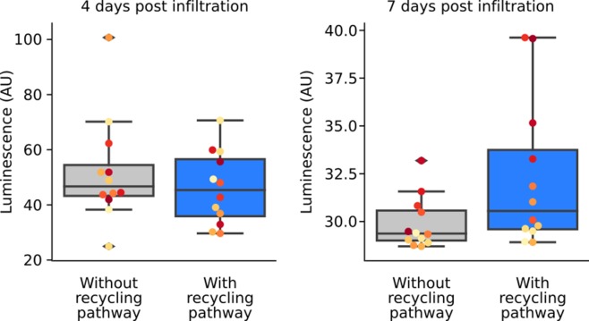 Figure 1—figure supplement 2.