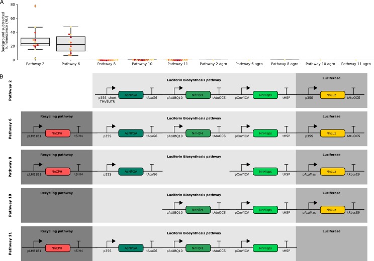 Figure 1—figure supplement 1.