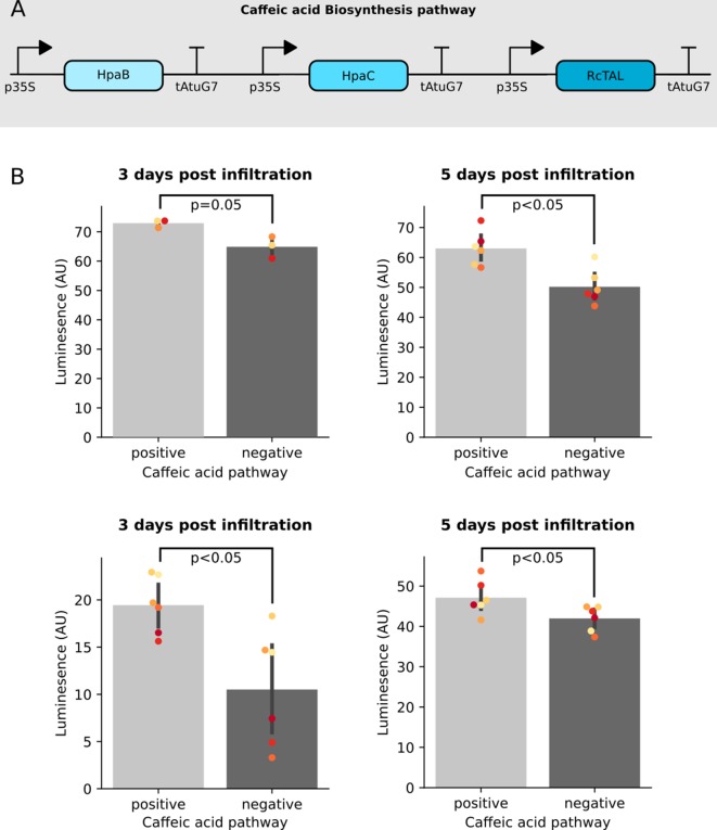 Figure 1—figure supplement 3.