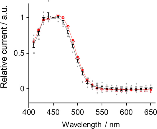 Fig. 4