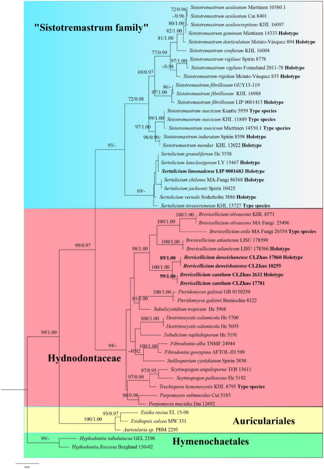 FIGURE 1