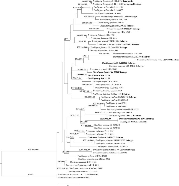 FIGURE 2