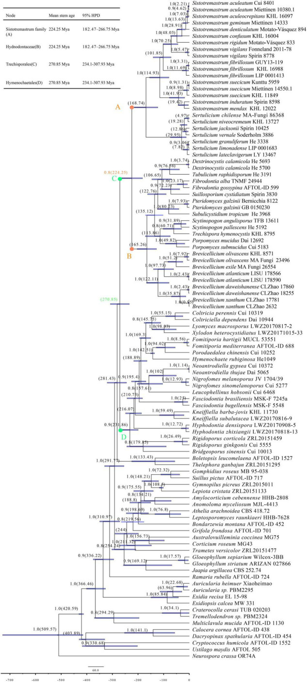 FIGURE 3