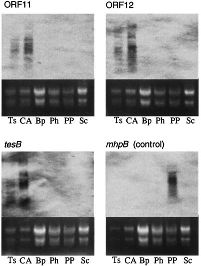 FIG. 9.