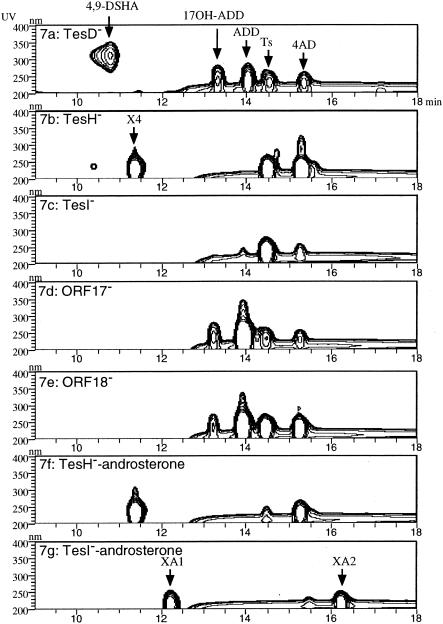 FIG. 7.