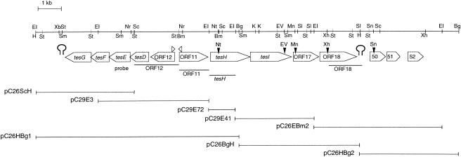 FIG. 2.