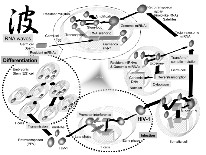 Fig. (1)