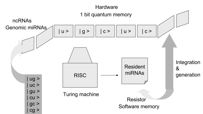 Fig. (3)