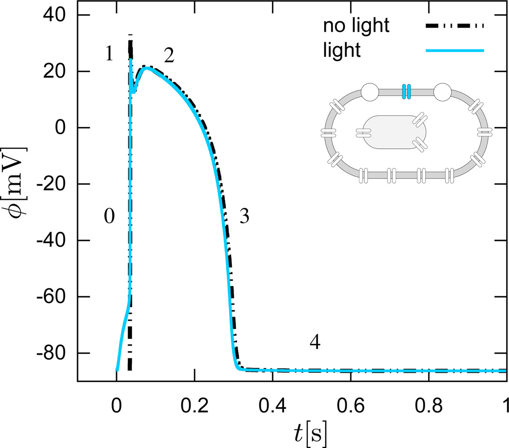 Figure 9