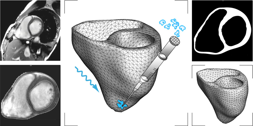 Figure 10