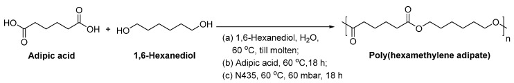 Scheme 16