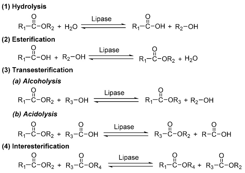 Scheme 13