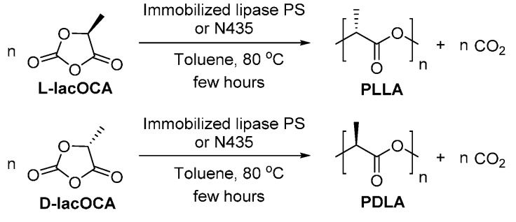 Scheme 22