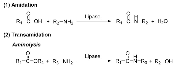 Scheme 17