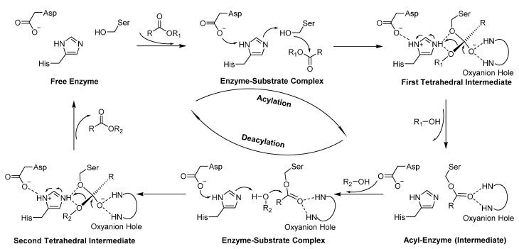 Scheme 10