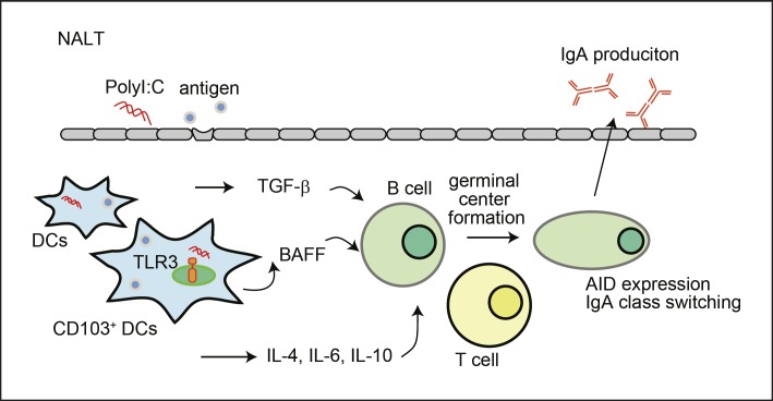 Fig. 2