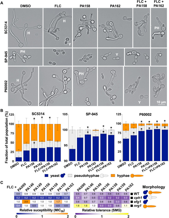 Fig 11