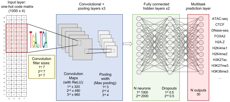 Figure 1—figure supplement 1.