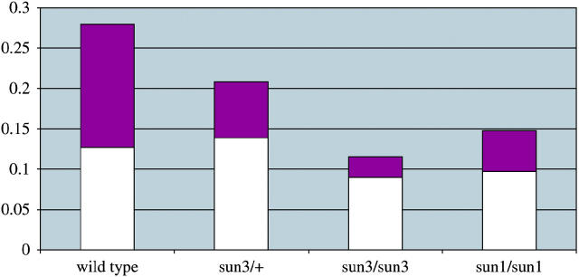 Figure 3.—