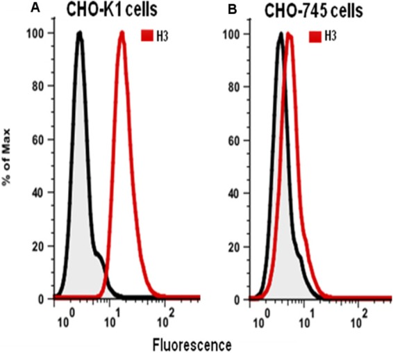 FIG 6