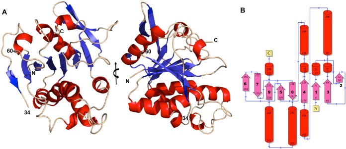 FIG 1