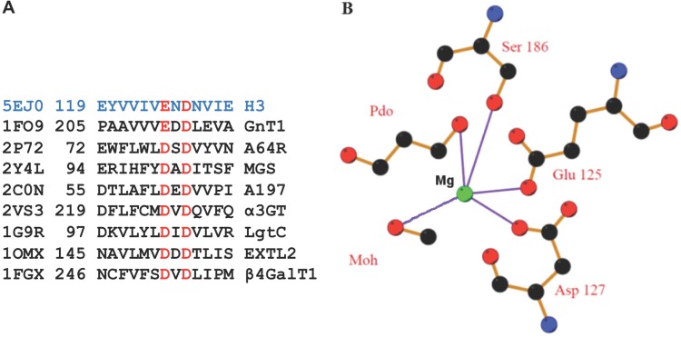 FIG 3