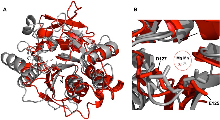 FIG 2