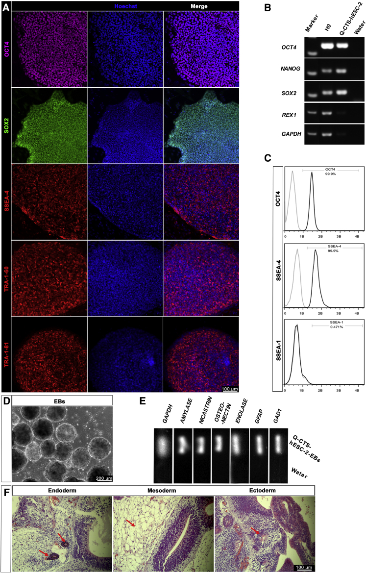 Figure 3