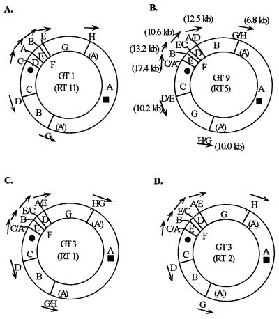 FIG. 1