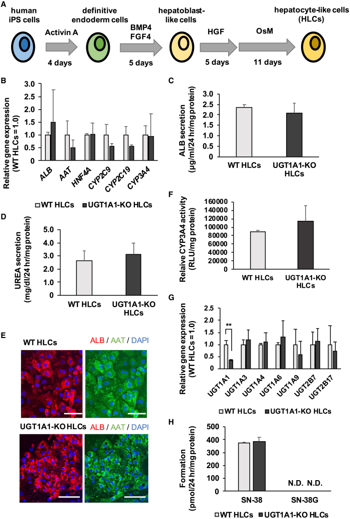 Figure 3