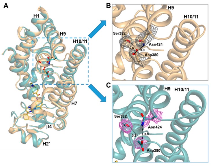 Figure 5