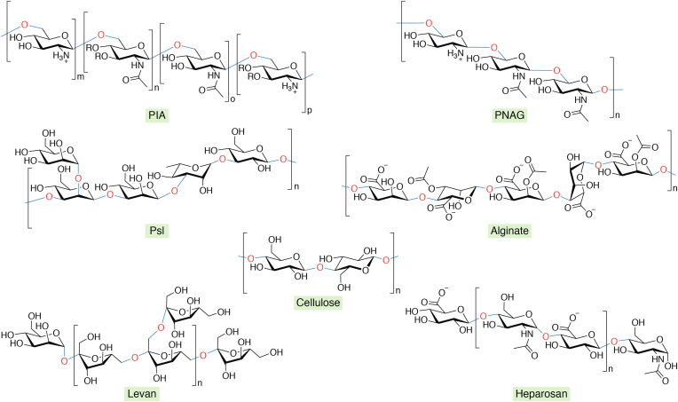 Figure 4