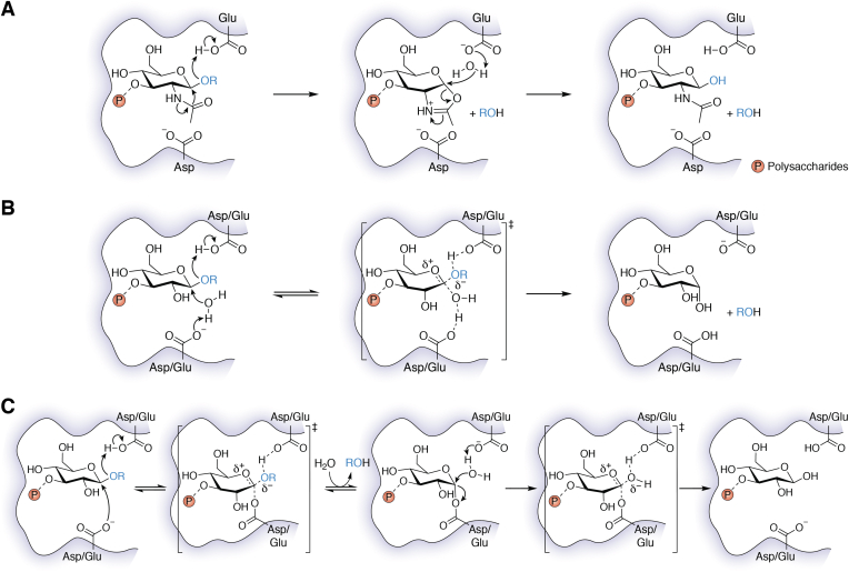 Figure 5