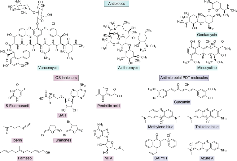 Figure 3