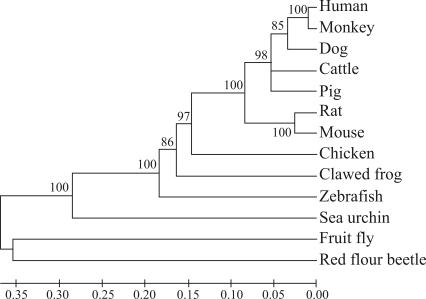 Figure 3