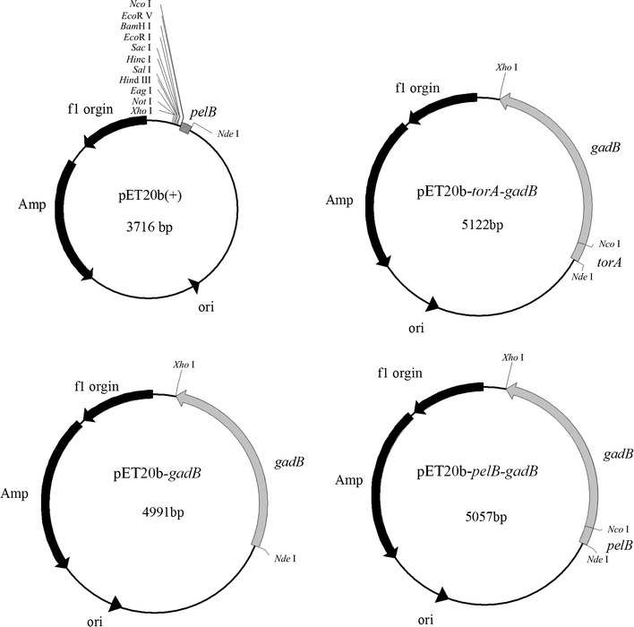 Fig. 1