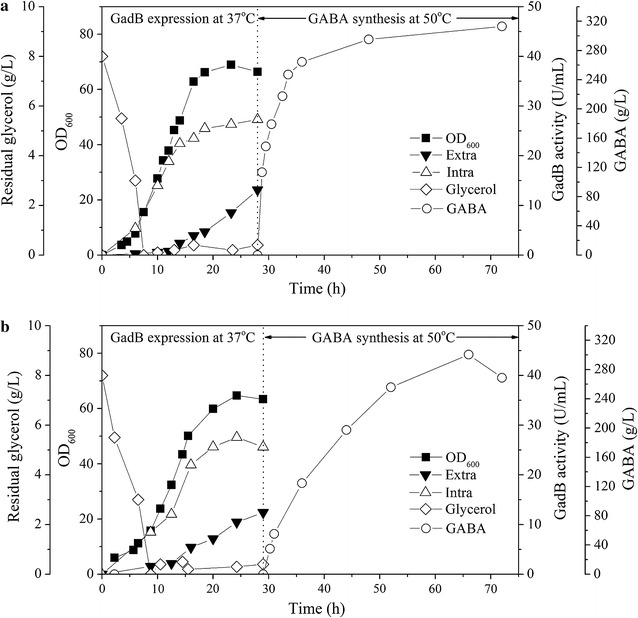 Fig. 6