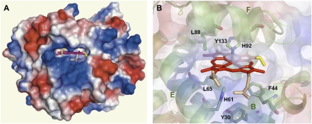 Fig. 4.