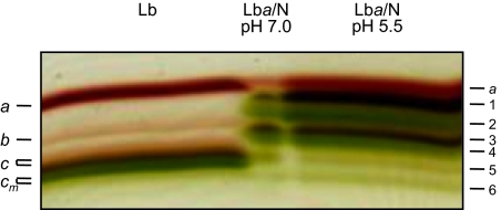 Fig. 2.