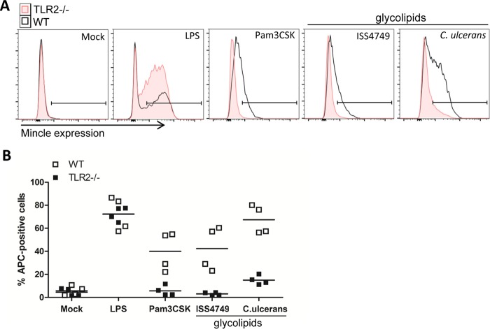 FIG 6