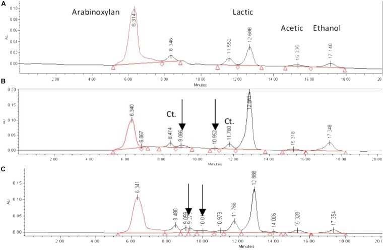 FIGURE 3