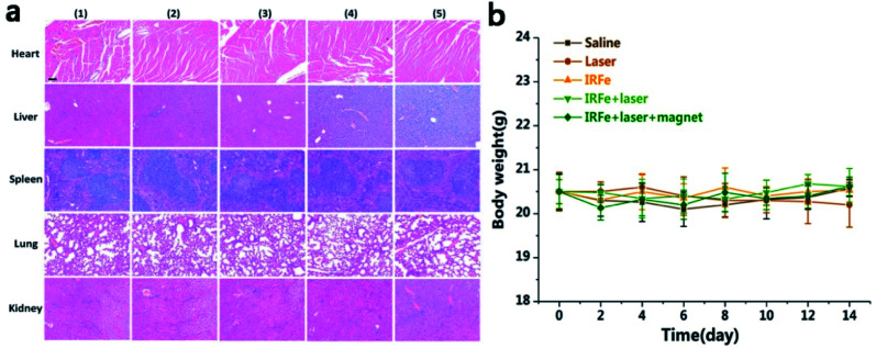 Fig. 6