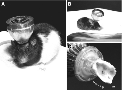 FIG. 8.