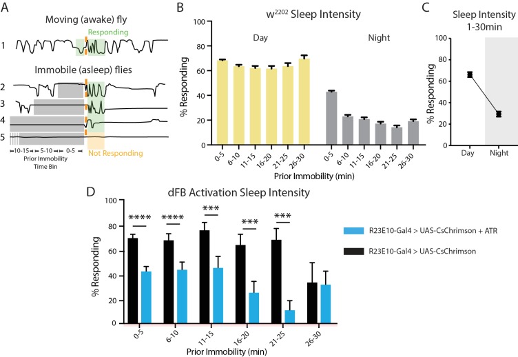 Figure 2—figure supplement 1.