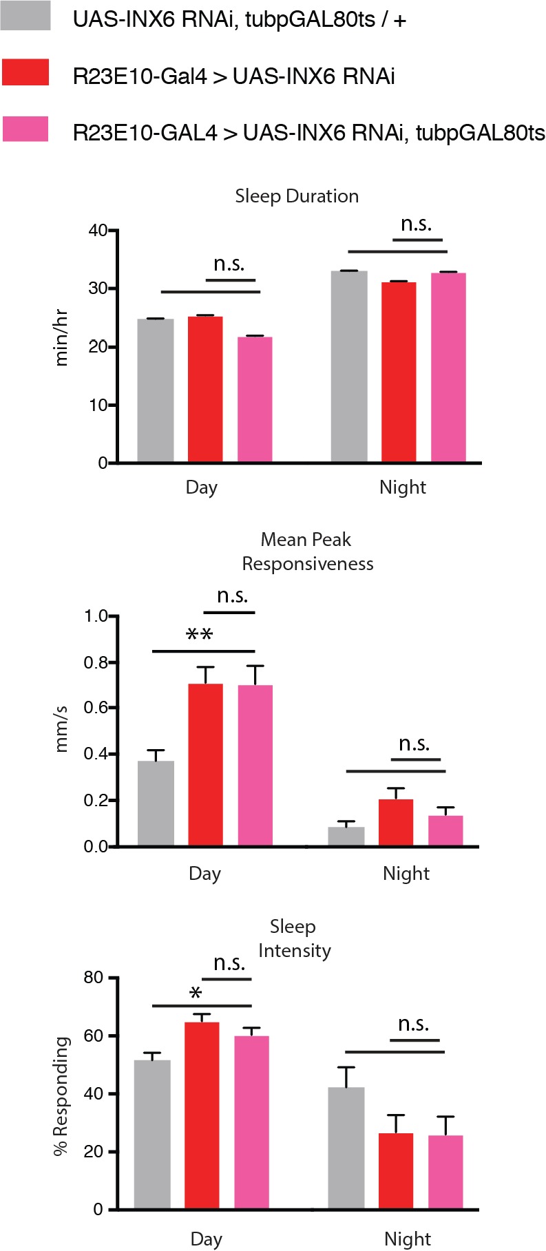 Figure 5—figure supplement 2.