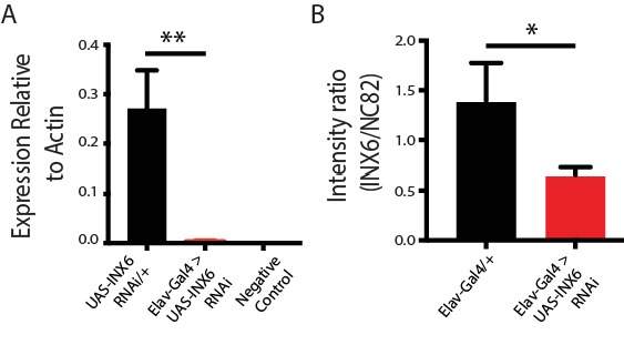 Figure 5—figure supplement 1.